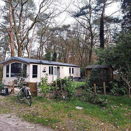 Ruim Chalet, Midden In Het Bos! Nunspeet Exterior photo